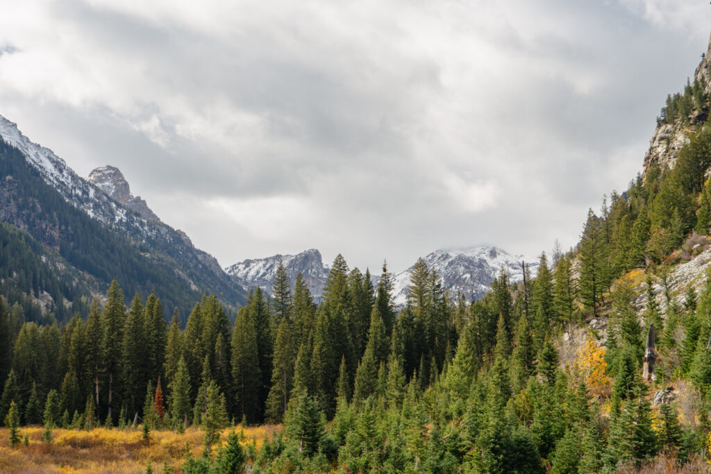 Cascade Canyon Grand Teton National Park