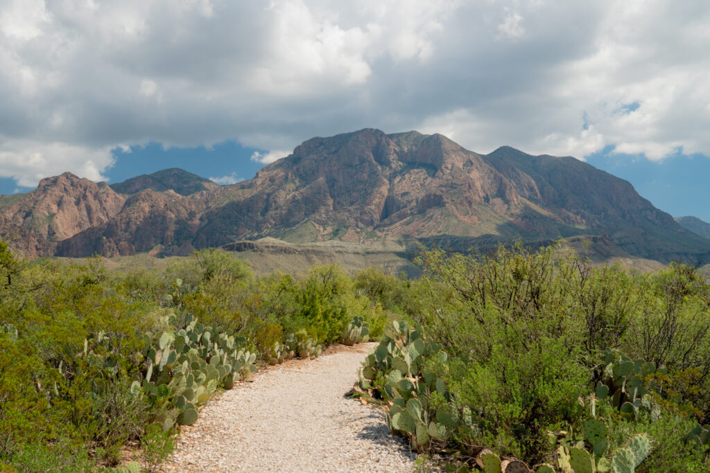 Big Bend National Park - Chisos Mountains