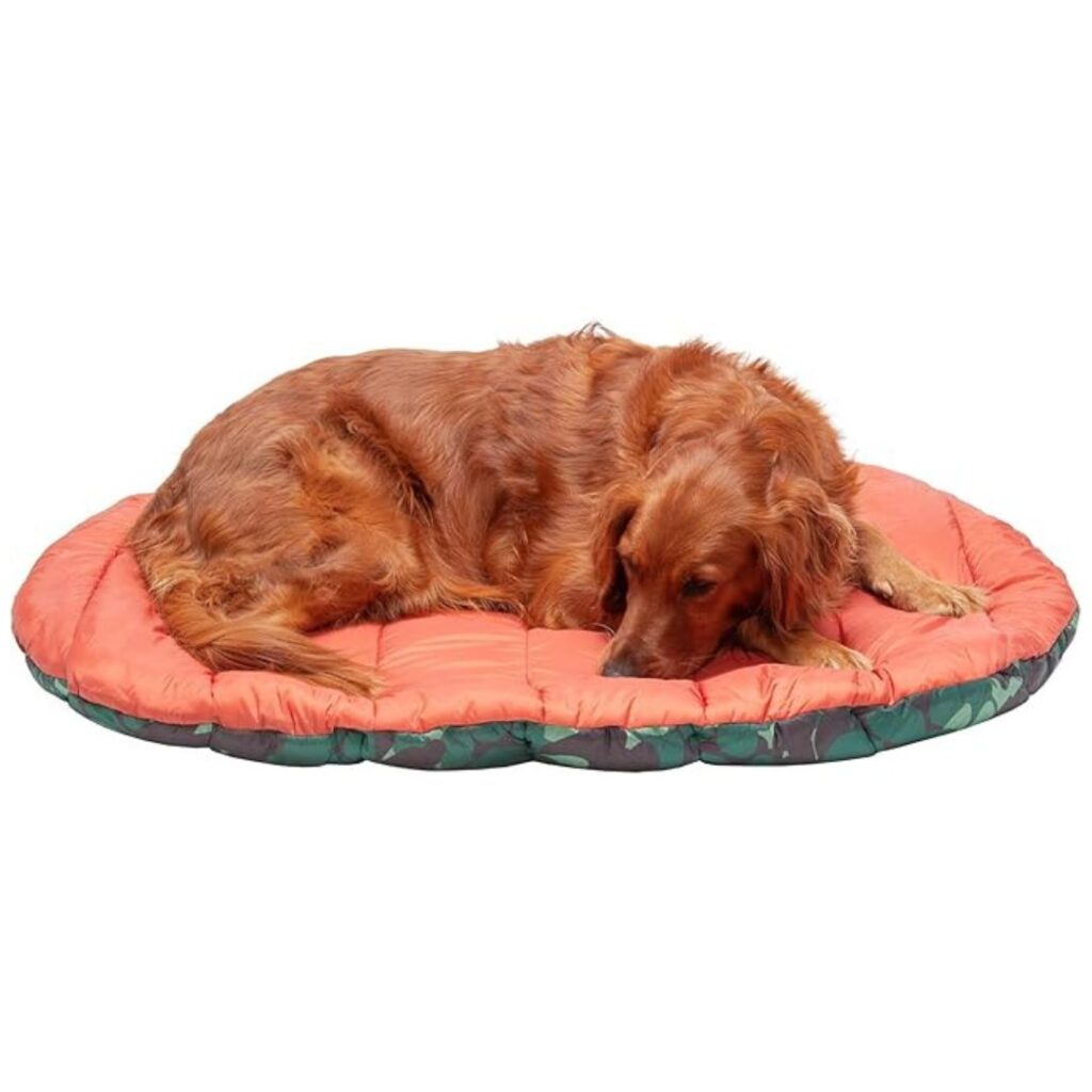 Outdoor Dog bed for camping