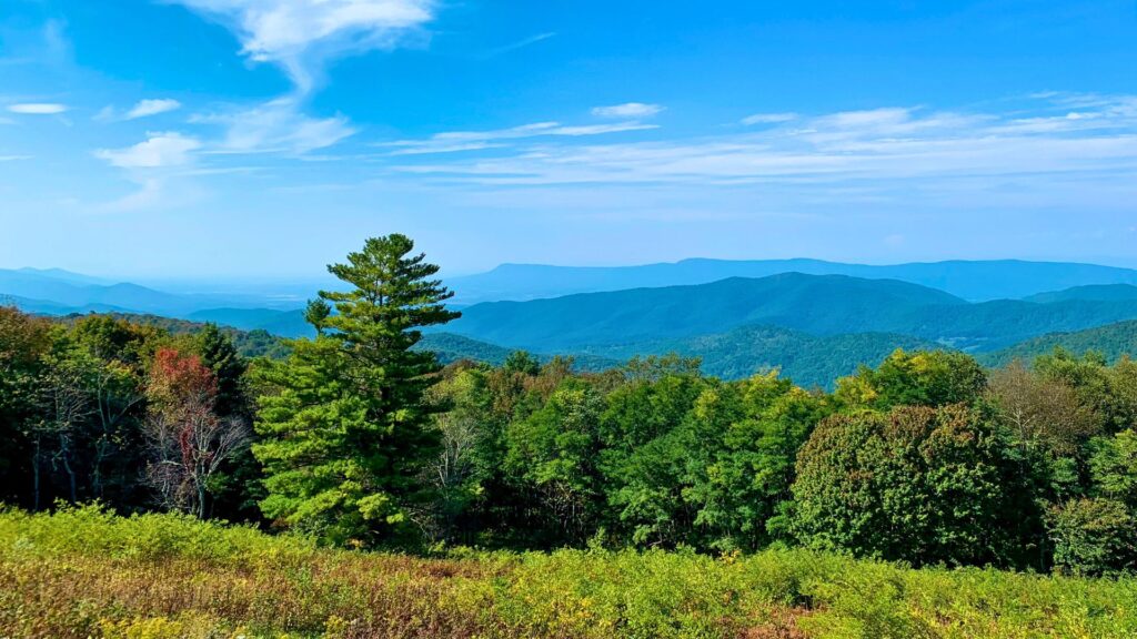 Blue ridge mountains and trees on a sunny day in Shenandoah National park