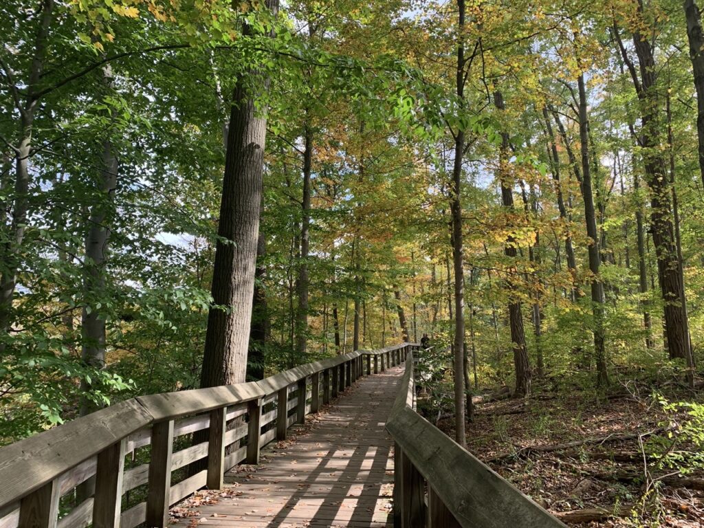 Boardwalk trail in Cuyahoga Valley National Park