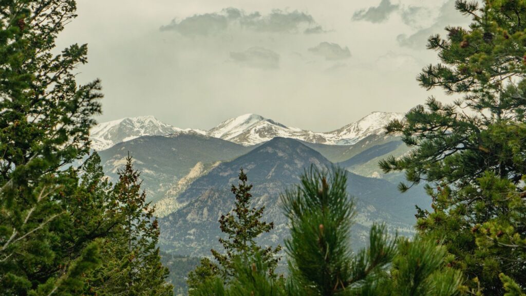 Snowy mountains peeking through pine trees on Kruger Rock Trail