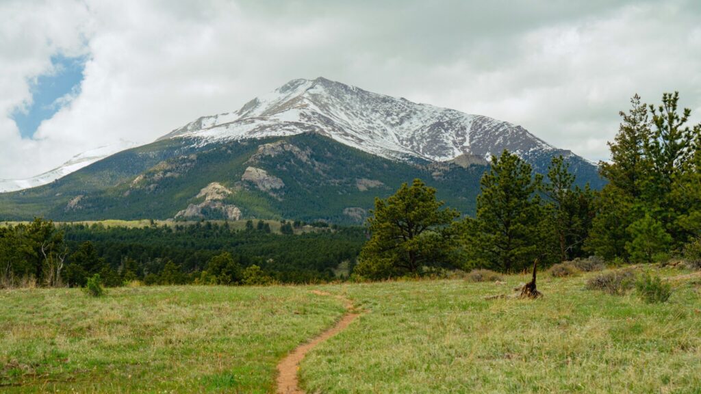 Snowy mountain behind trees in Allenstown Colorado