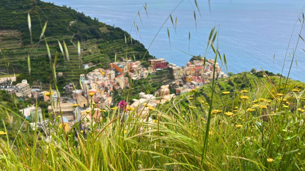 Above view of Manarola from the mountain hiking trail