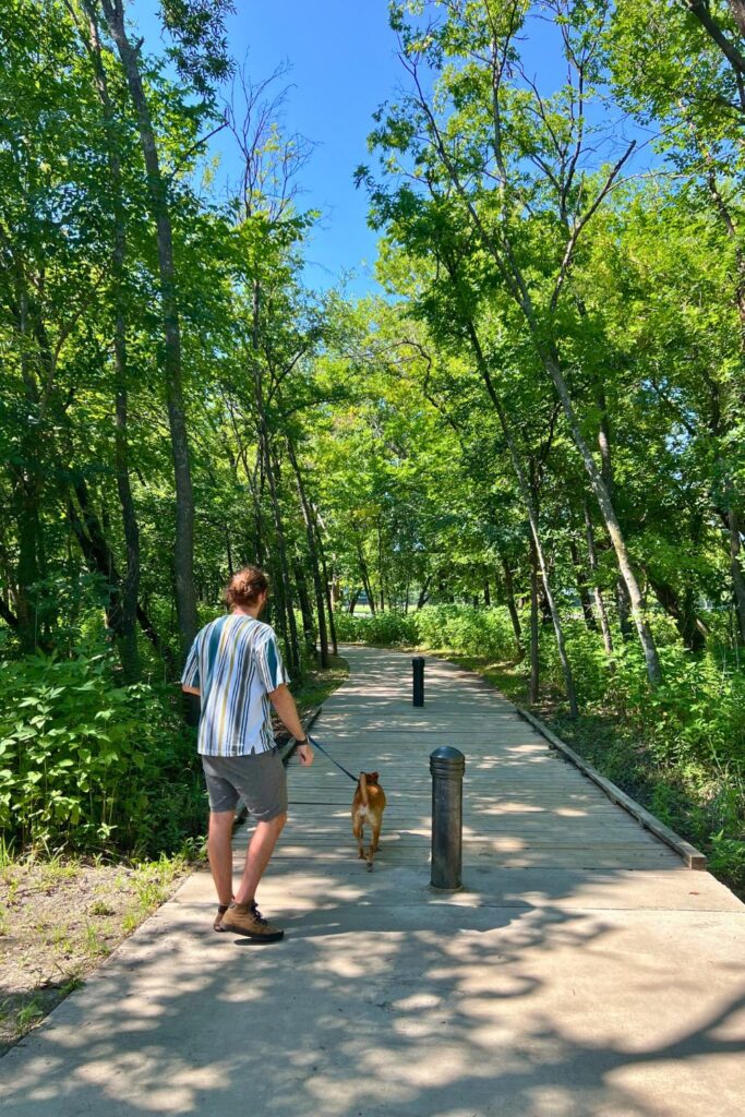 Man walking dog in McKinney Park