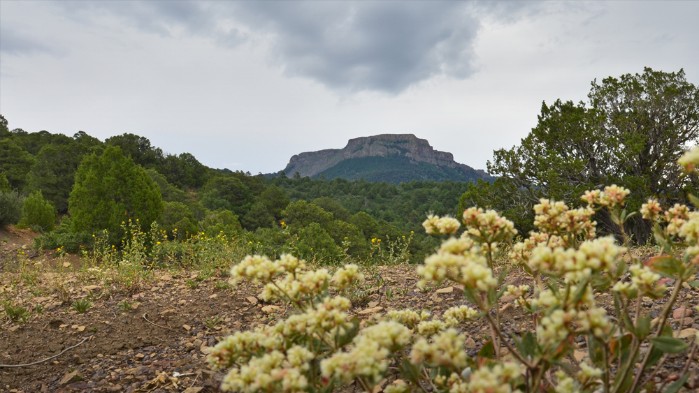 A view of Fishers Peak from the base of the mountain, by Colorado Parks and Wildlife