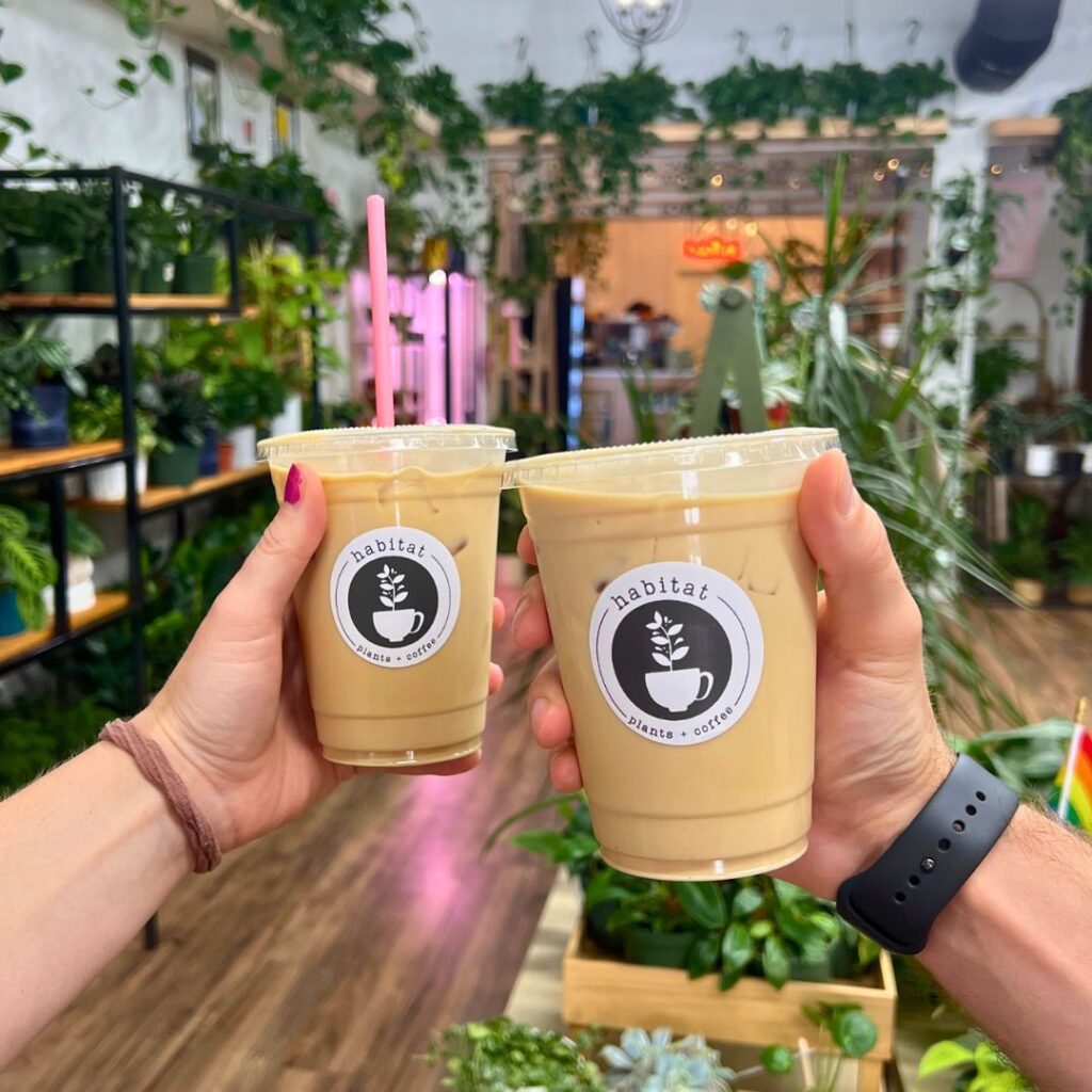 Iced Coffee From Habitat Plants + Coffee