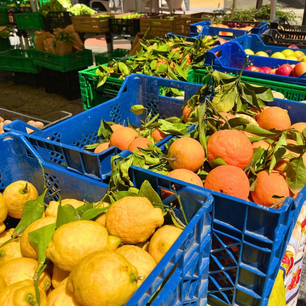 Lemons and oranges in Amalfi Italy