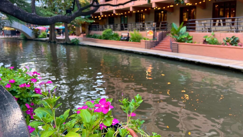 Flowers on the San Antonio Riverwalk Texas