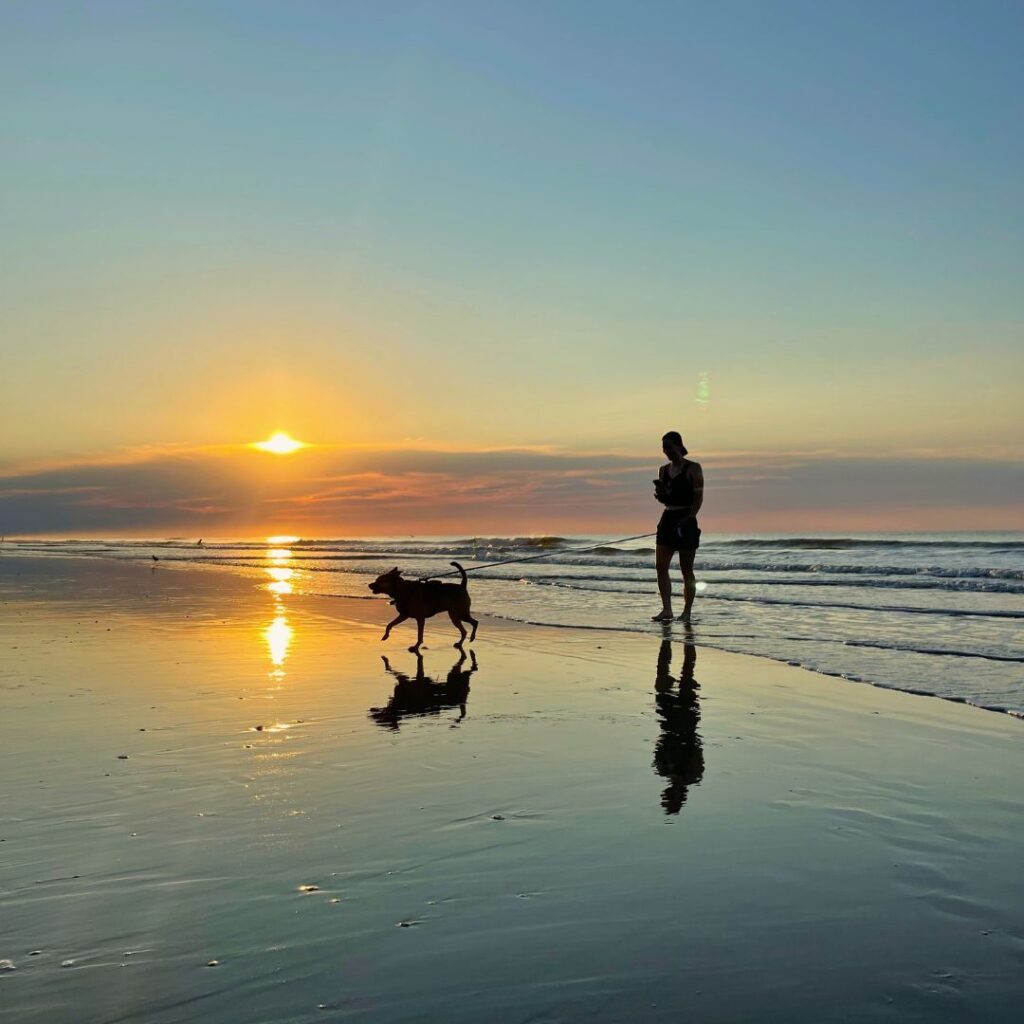 Woman and dog walking on beach at sunrise