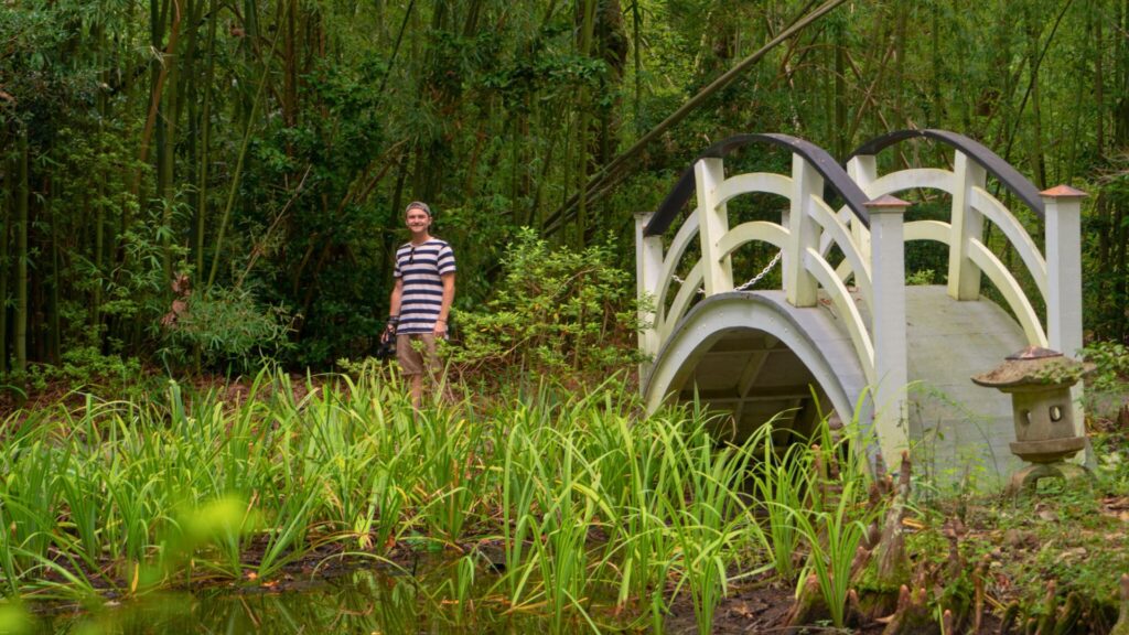 Man Walking in the Botanic Garden Charleston