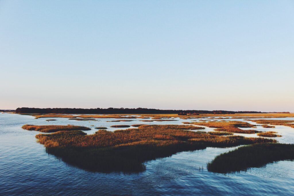 South Carolina March at Sunset