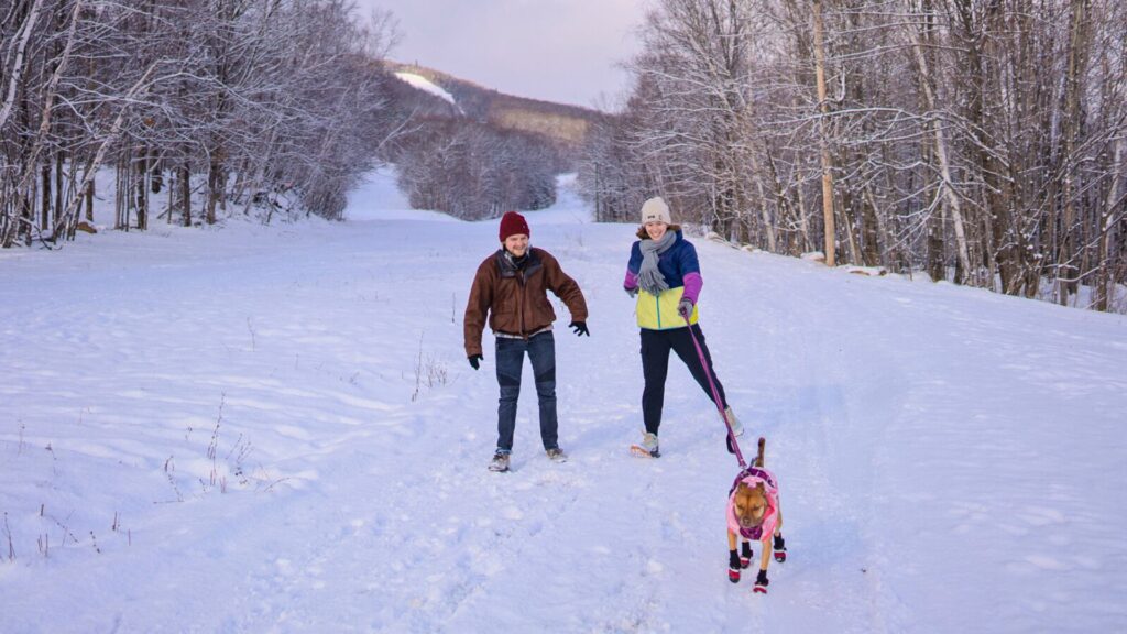 Couple and their dog running in the snow in Beaupre, Quebec, Canada