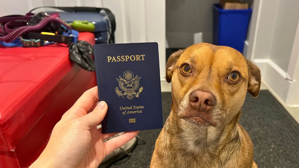 JoJo (dog) and a US passport