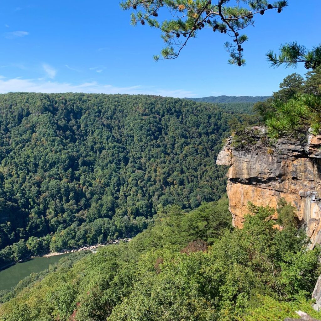 Cliff face view in New River Gorge National Park