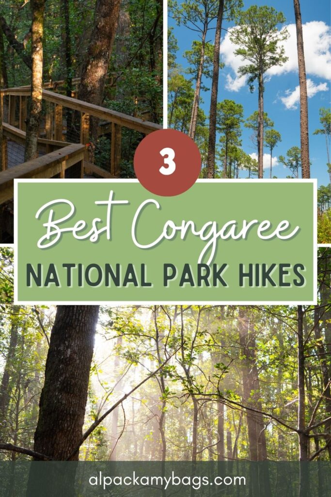 Congaree National Park Itinerary Pinterest Cover