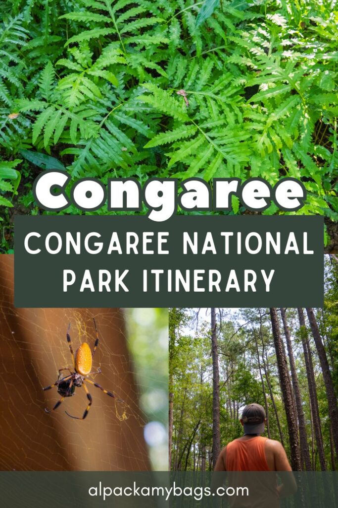 Congaree National Park Itinerary Pinterest Cover