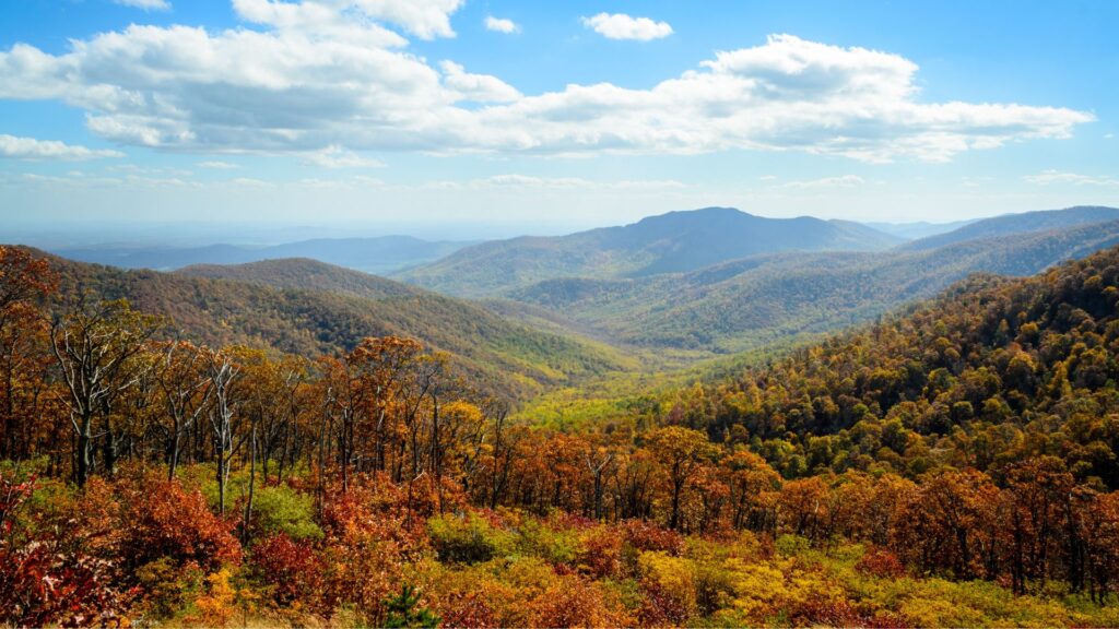 Fall in Shenandoah National Park