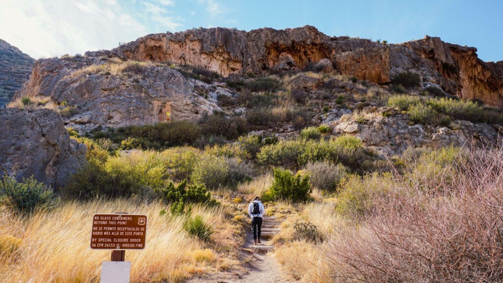 Faraway hiker in Lincoln National Forest