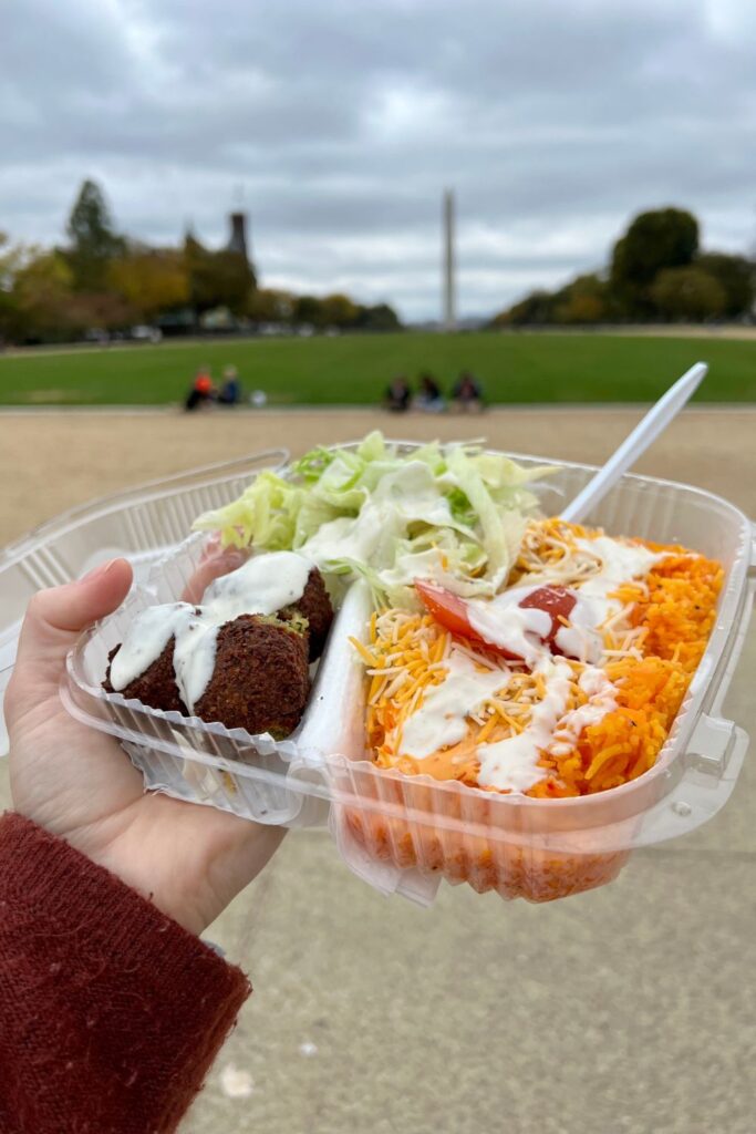 Food Truck Falafel in Washington DC