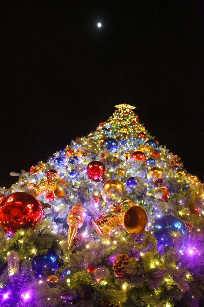 Giant Christmas Tree Lit Up