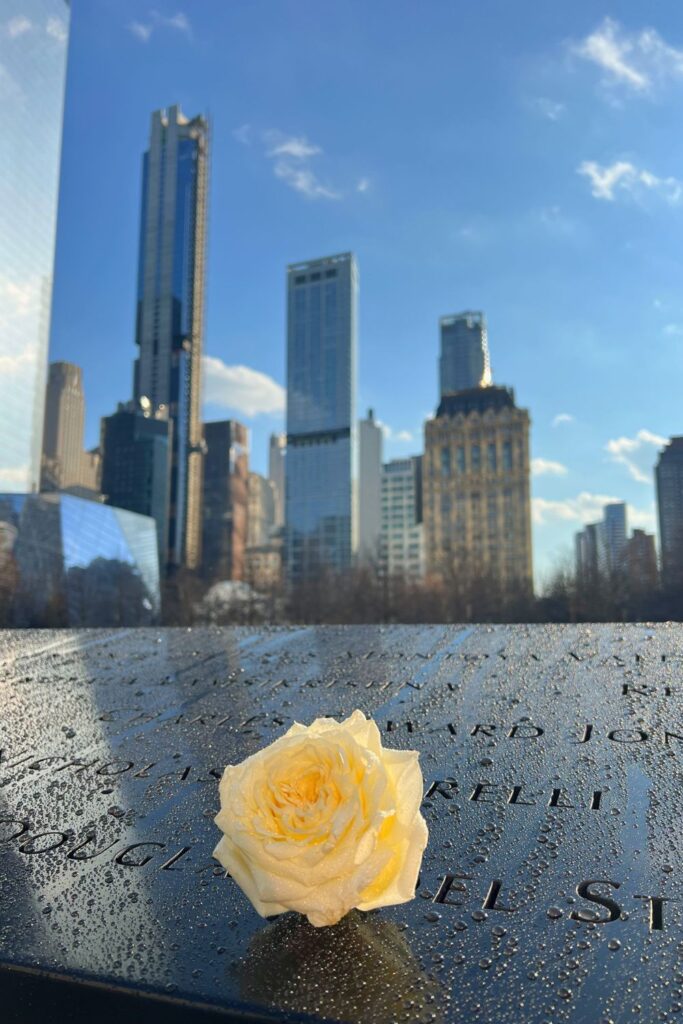 Ground Zero Rose in NYC