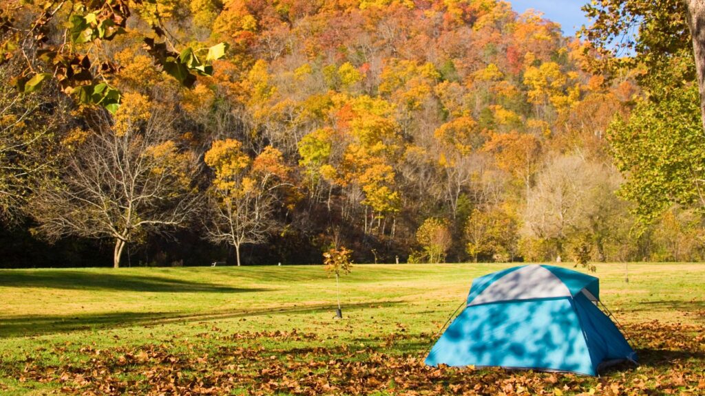 Tent in a park with fall foliage (camping in fall)