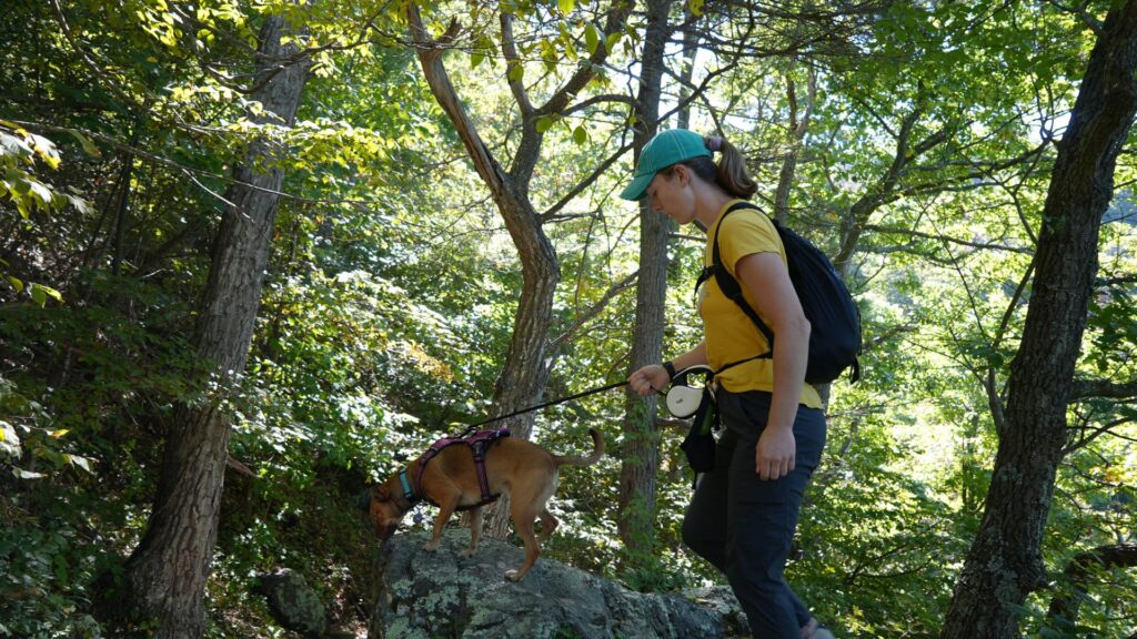 Hiker with dog (Shenandoah)