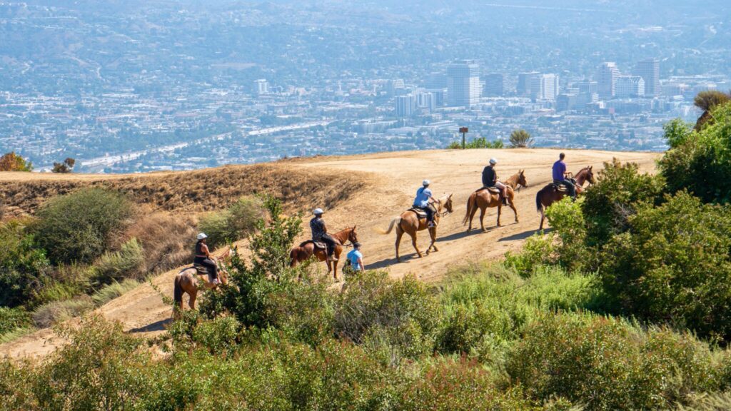 Horse Back Trail Riding on Mt Hollywood Los Angeles