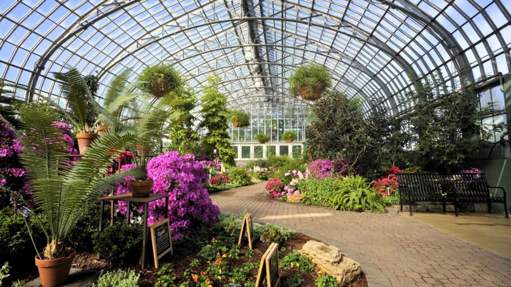 Inside a Conservatory Garden