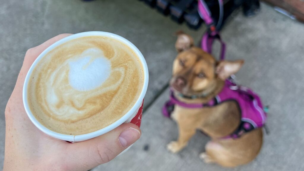 Latte and a dog (JoJo) in Alexandria VA