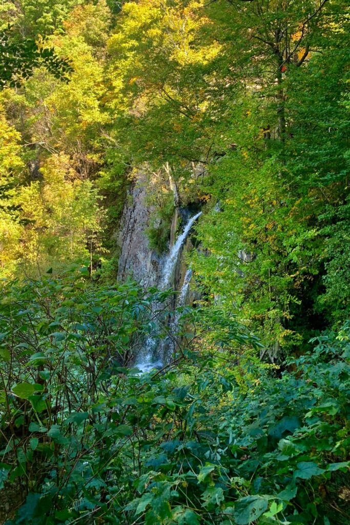 Lewis Falls in Shenandoah National Park