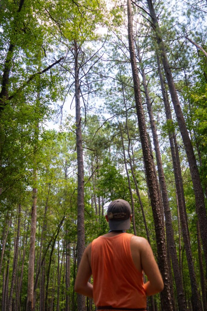 Nate Admiring the Trees in Congaree