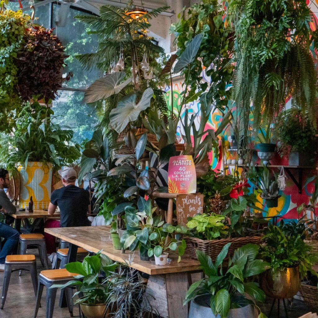 Plant Filled Restaurant in Los Angeles