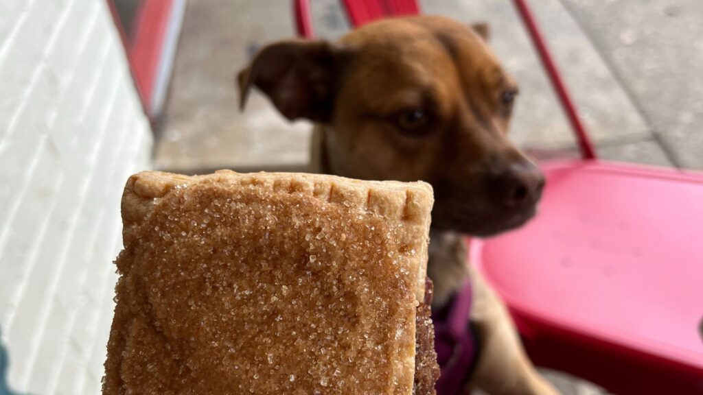 Poptart from St Elmo's Coffee in Alexandria VA