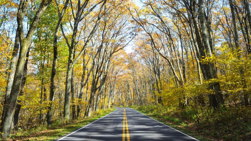 Skyline Drive in Shenandoah National Park