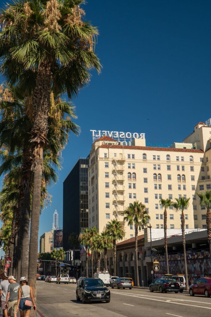 Street in Downtown Los Angeles