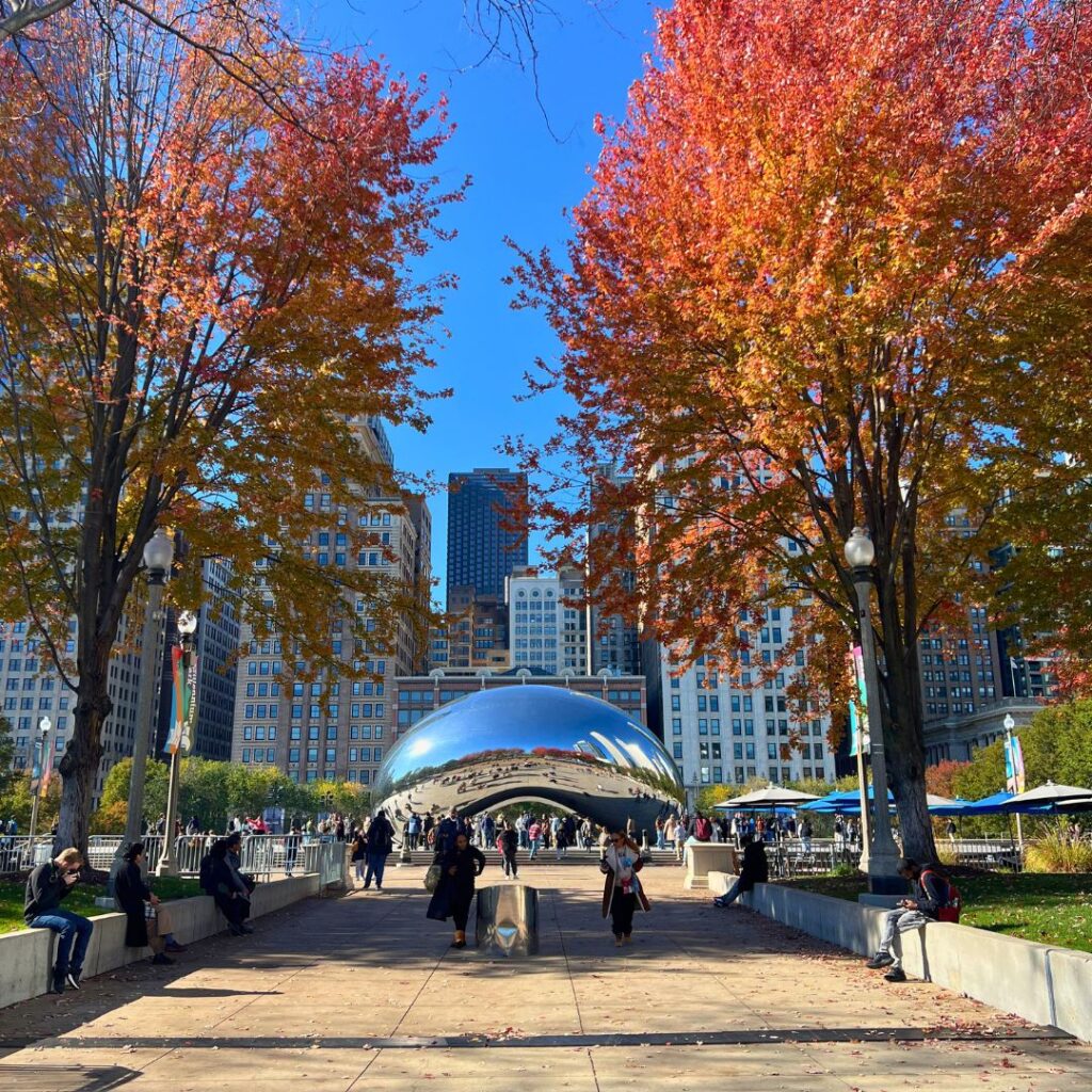 The Bean and fall trees Chicago