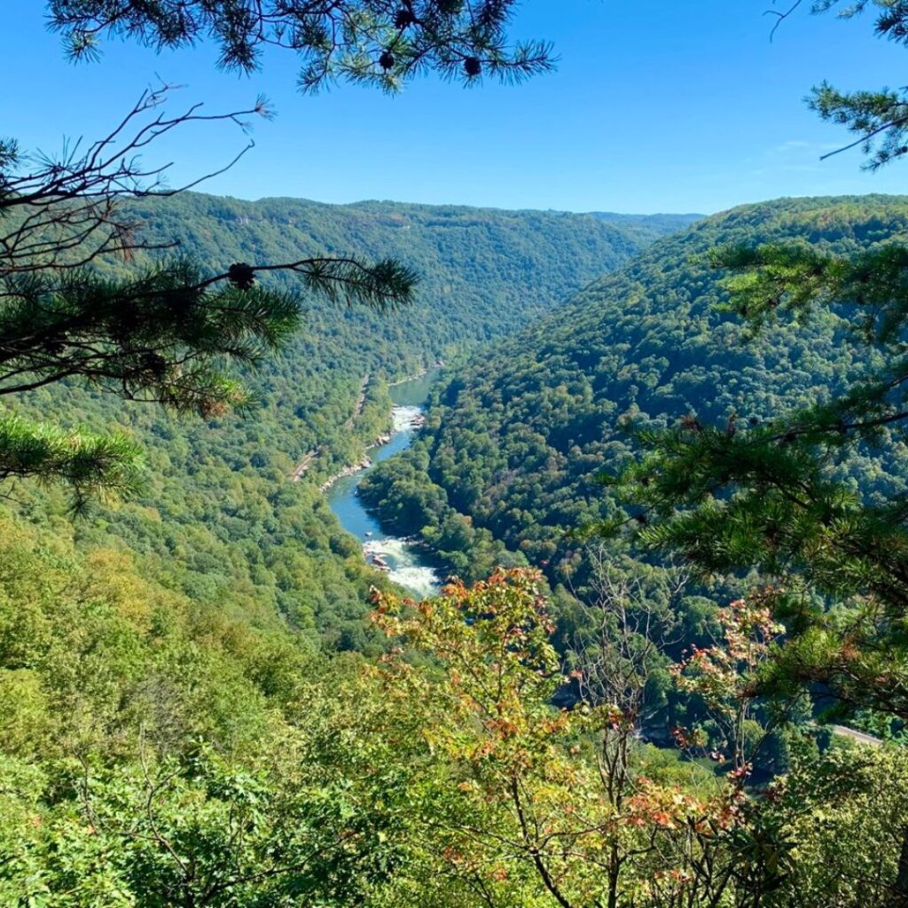 View of the river far below in New River Gorge National Park