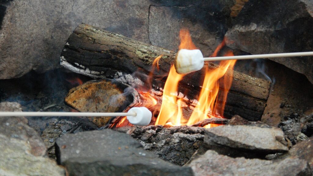 roasting marshmallows on a campfire