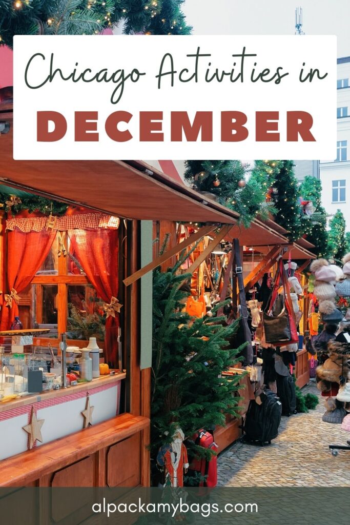 Things to Do in Chicago in December Pin Cover