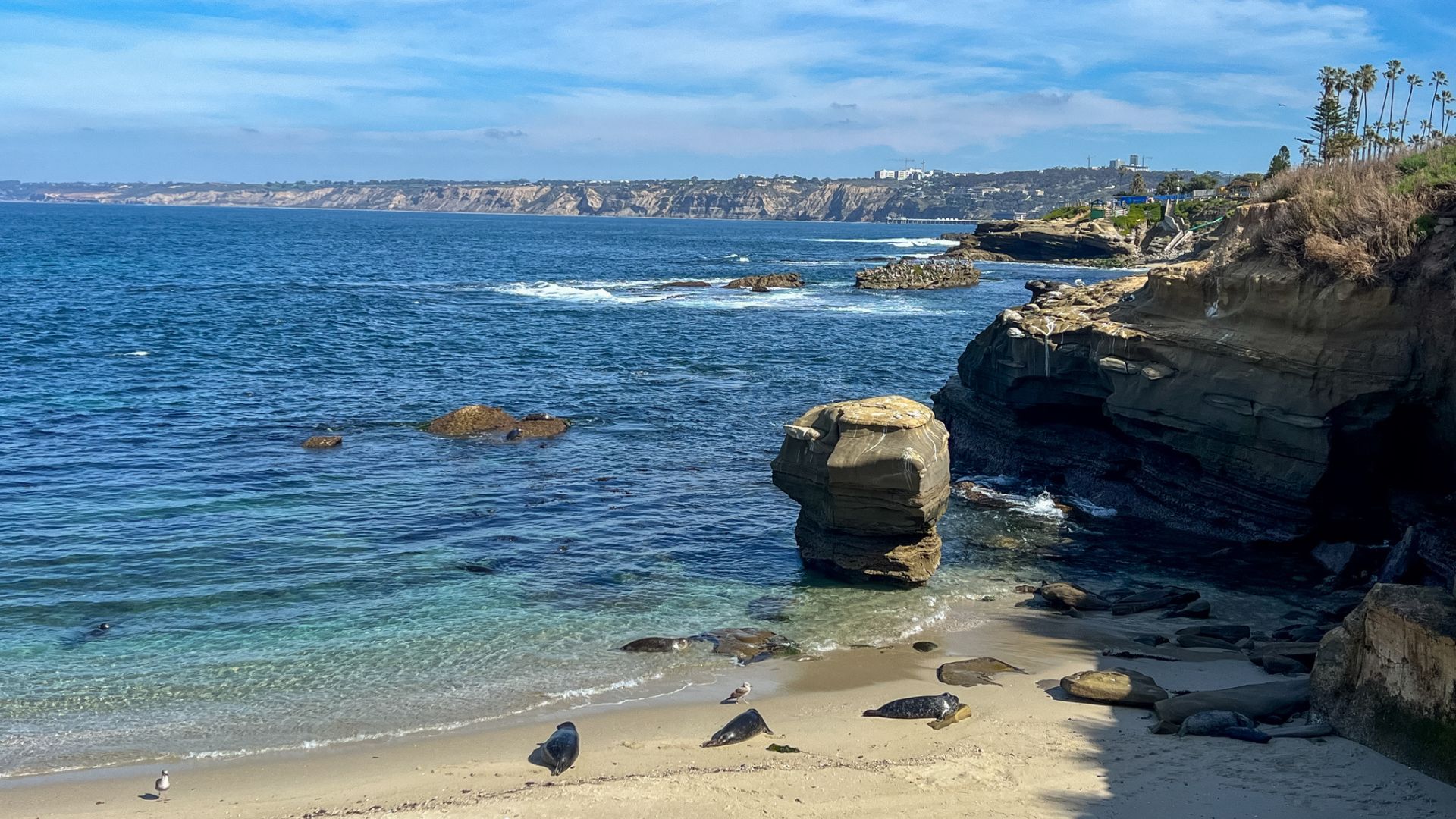 Children's Pool San Diego