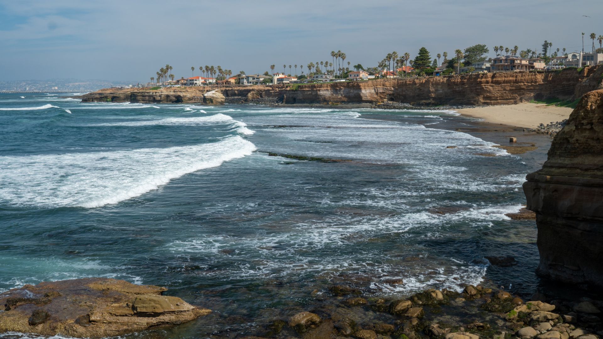 Rum Runner Cove San Diego