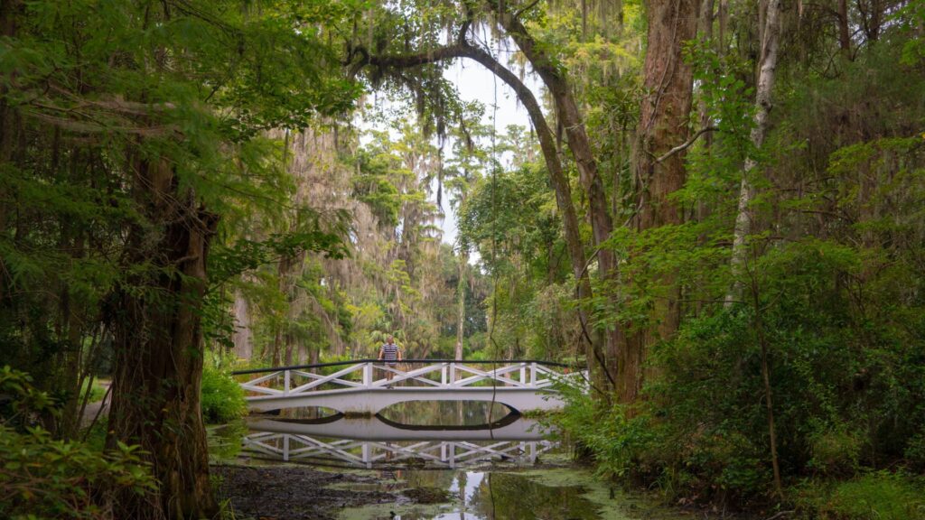 Man on Bridge in swamp - South Carolina Road Trip