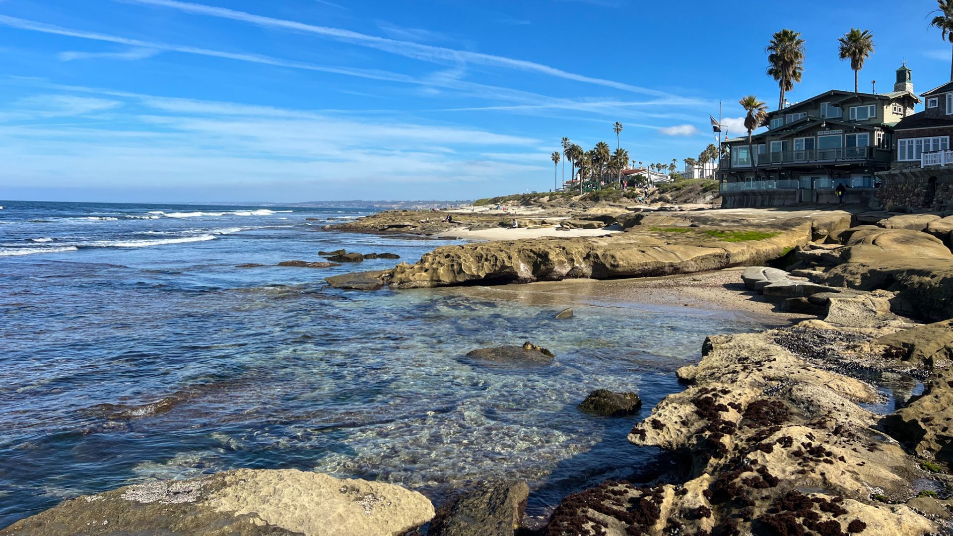 La Jolla Tide Pools San Diego