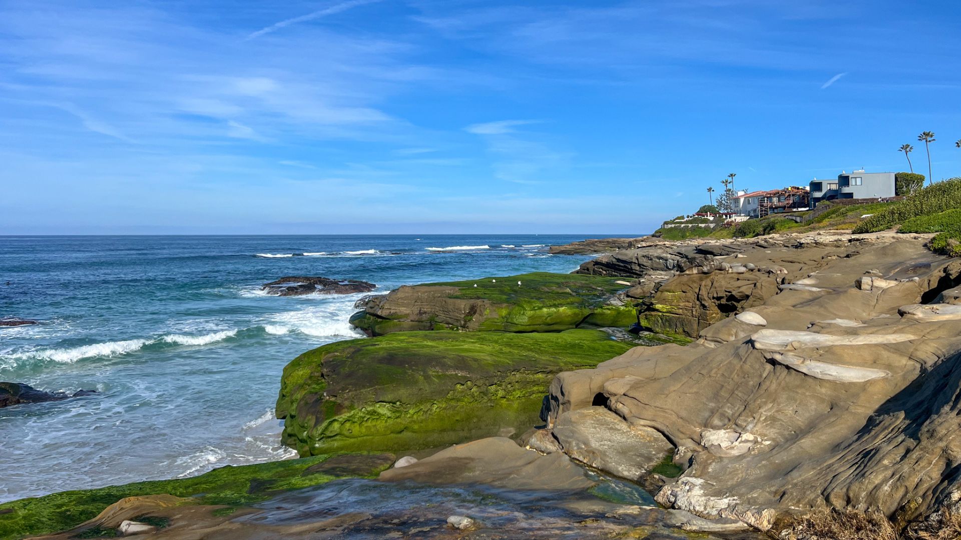 Windandsea Beach San Diego