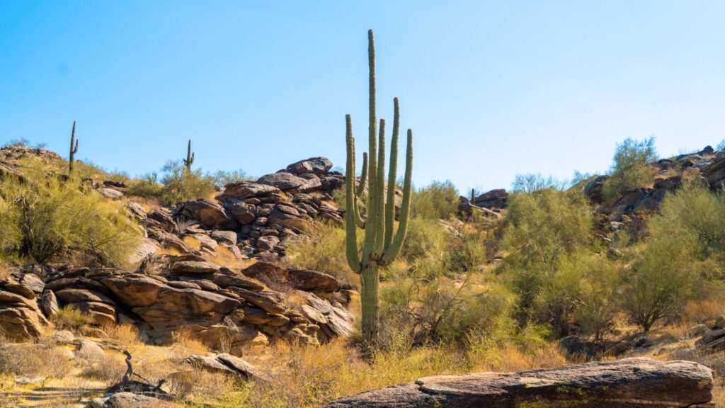 South Mountain Park Hike in Phoenix