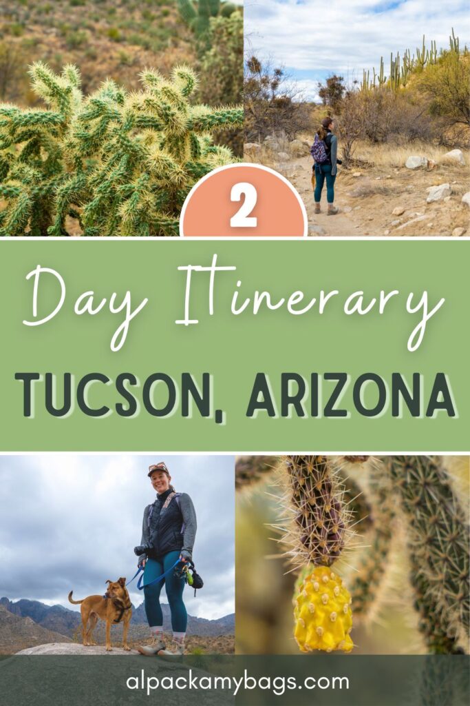 2 Days in Tucson Itinerary Pinterest Cover