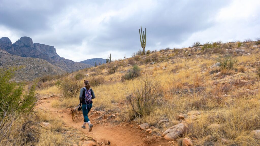 5 Day Arizona Road Trip - Woman hiking