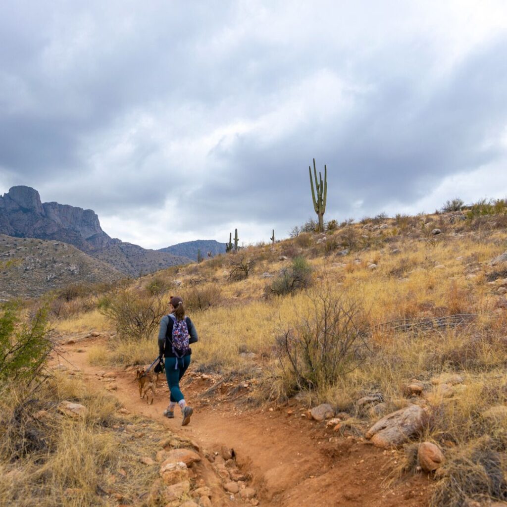 Hiking in Catalina State Park (Tucson)